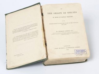 Самая влиятельная научная книга — «Происхождение видов» Дарвина