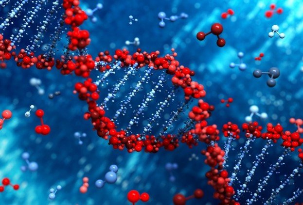 Технология редактирования генома CRISPR — научный прорыв года по версии журнала Science