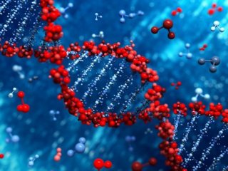 Технология редактирования генома CRISPR — научный прорыв года по версии журнала Science