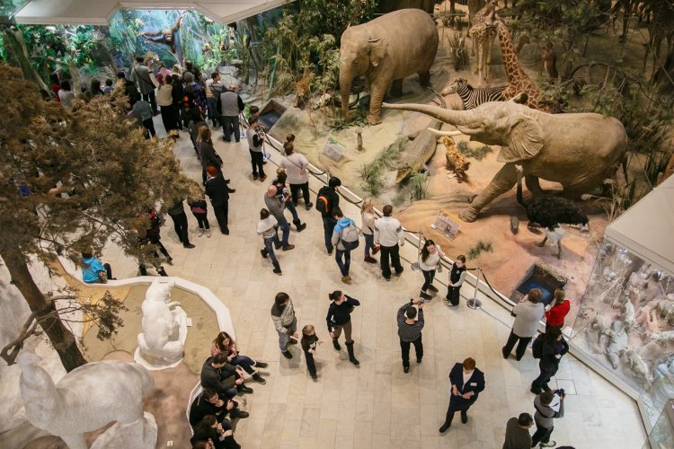 Весенние каникулы в Дарвиновском музее (26 марта – 3 апреля 2016)