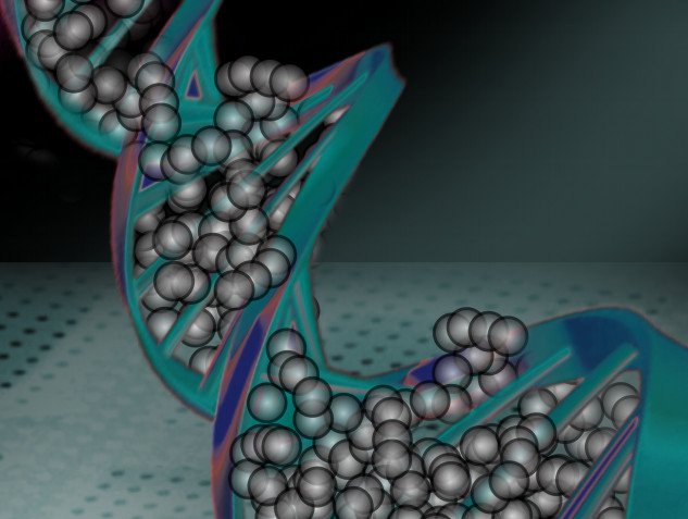 Созданы нанопровода из обогащенной серебром ДНК