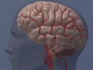 Повышенный уровень амилоида может указывать на ослабление когнитивных функций