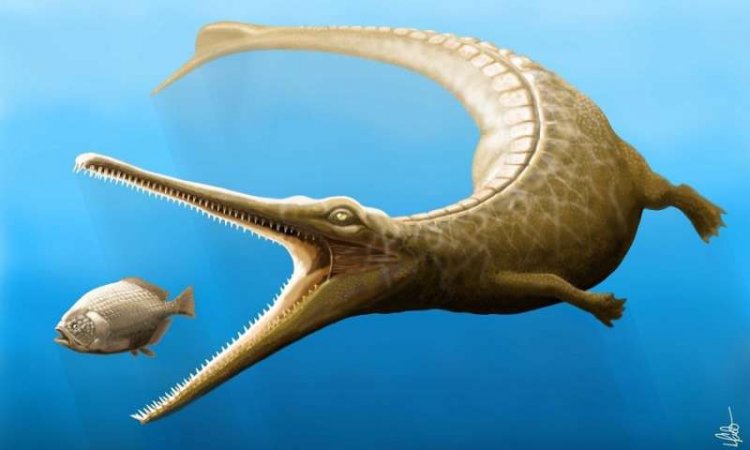 Хвост ископаемого животного юрского периода помог восполнить пробелы в родословной крокодилов