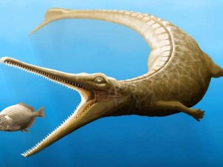 Хвост ископаемого животного юрского периода помог восполнить пробелы в родословной крокодилов