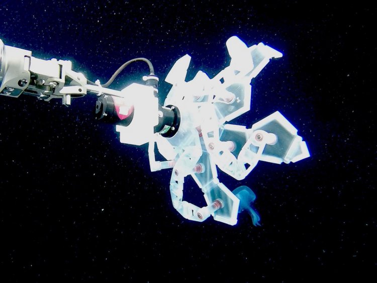 Новый оригами-робот поймает кальмаров и медуз, не причинив им вреда