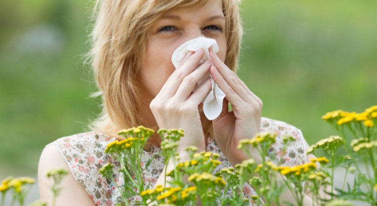 В НовГУ создали программу для самодиагностики аллергии