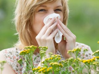 В НовГУ создали программу для самодиагностики аллергии
