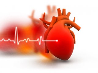 Размер талии может эффективно предсказывать развитие ишемической болезни сердца