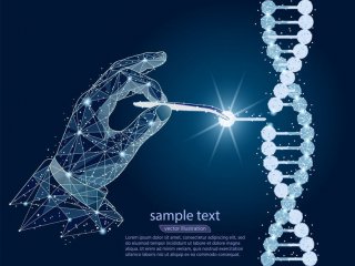 CRISPR может использоваться не только для редактирования генома?