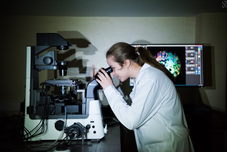 Фото: Пресс-служба НИТУ «МИСиС»