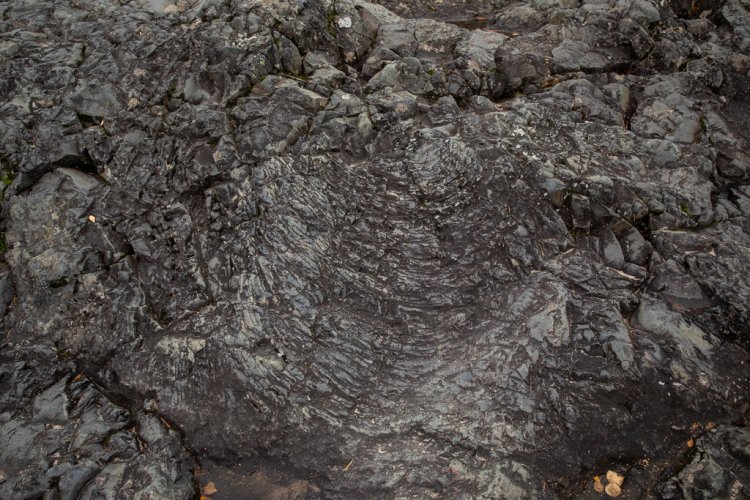 Следы течения базальтовой лавы, Гирвасский вулкан. Автор фото: Николай Мохначев / "Научная Россия"