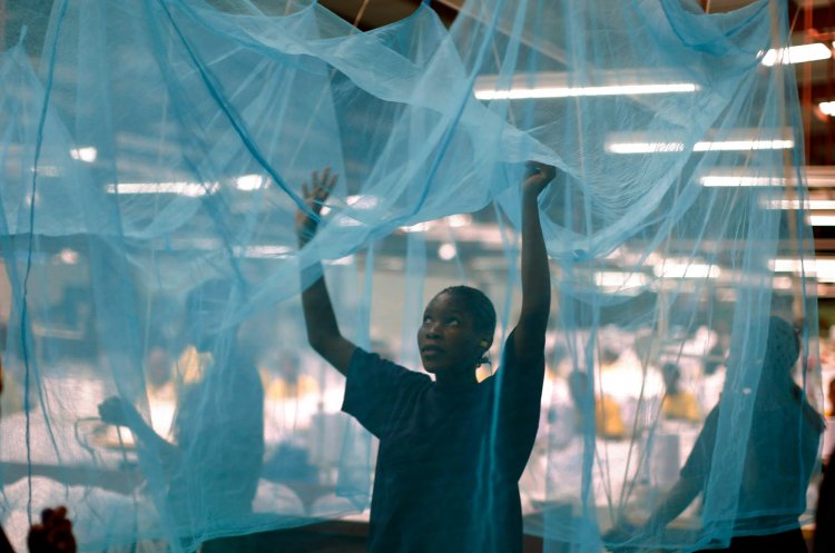 ВОЗ: использование обработанных инсектицидом противомоскитных сеток во время сна защищает от малярии. Автор: Jim Young. Источник: Reuters