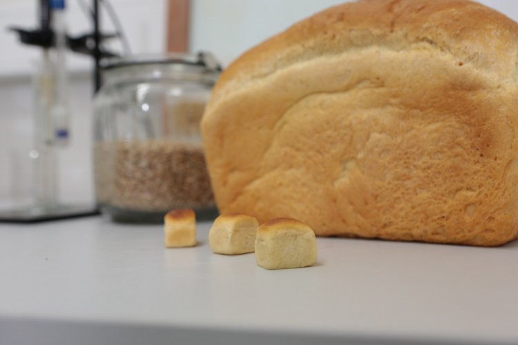 Маленькие буханочки ― это хлеб, который отправляют на МКС. За ними буханка обычного размера.Фото: Ольга Мерзлякова / «Научная Россия»
