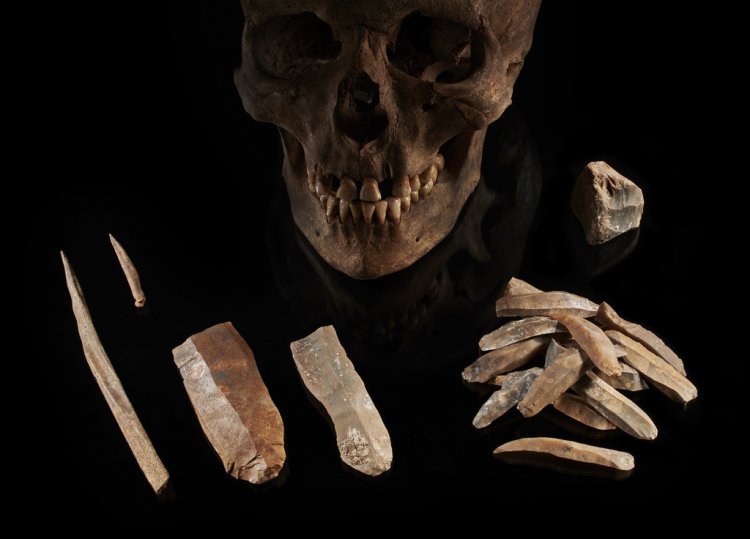 Мужской череп и каменные орудия из Грос-Фреденвальде (Германия), 5-е тысячелетие до нашей эры. Популяция этого человека жила бок о бок с первыми земледельцами Европы