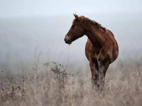 © РИА Новости / Константин Михальчевский