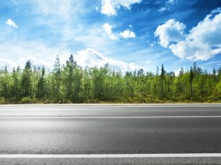 Фото - ru.123rf.com