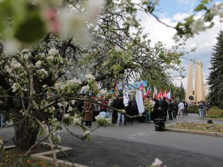 Фото: Ольга Мерзлякова / Научная Россия