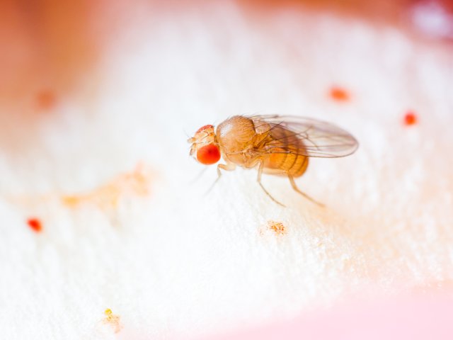 Источник фото: ru.123rf.com