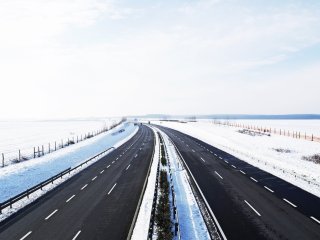 Фото: pgaborphotos/Фотобанк RU.123.RF