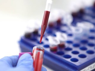 © Петр Ковалев/ТАСС