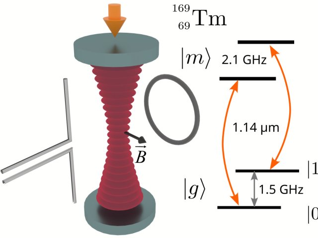 Упрощенная схема эксперимента и структура кубитных состояний атомов тулия. Источник: ФИАН