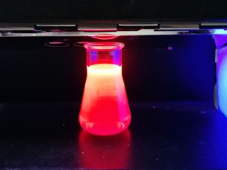 Флуоресценция раствора фотосенсибилизатора BODIPY. Фото предоставлено пресс-службой ННГУ