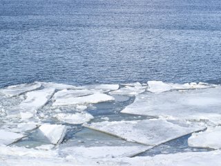 Источник фото: ru.123rf.com