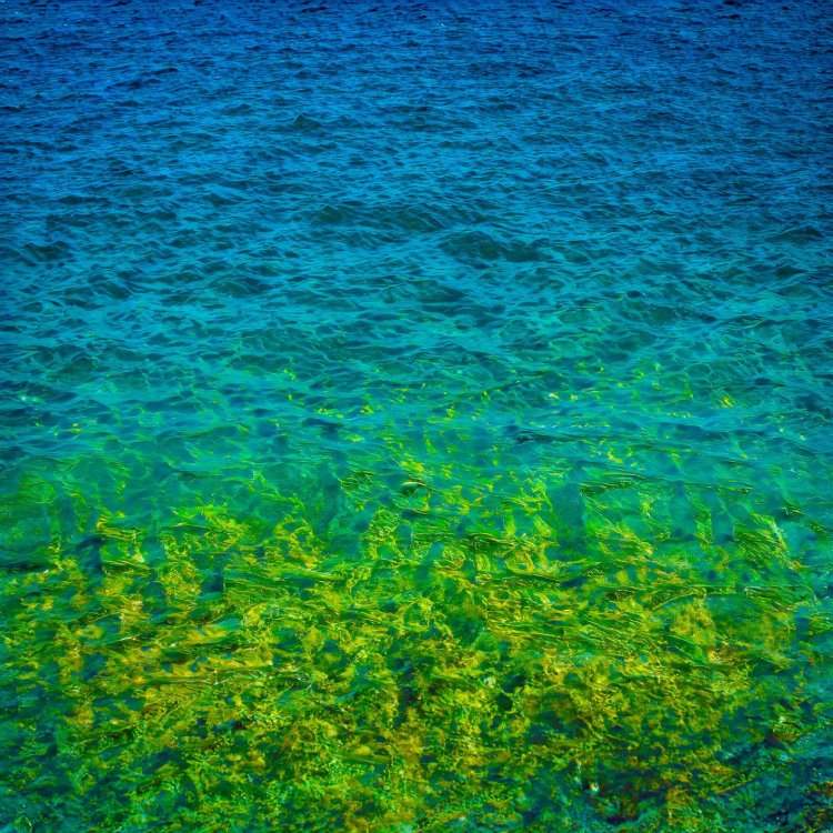 Изображение: 123rfai/Фотобанк RU.123.RF