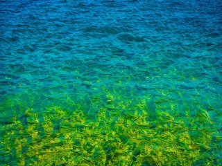 Изображение: 123rfai/Фотобанк RU.123.RF