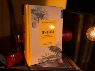 Фото: Елена Либрик / «Научная Россия» архив