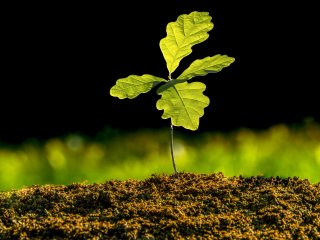 Источник фото: jurgal / ru.123rf.com