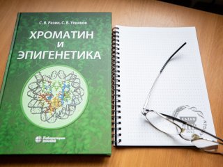 Фото: Ольга Мерзлякова / «Научная Россия»