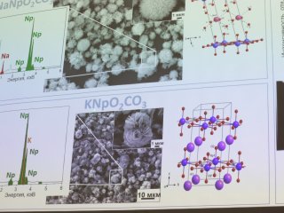 Первая междисциплинарная научная конференция ChemNet. Фото: Ольга Мерзлякова / «Научная Россия»