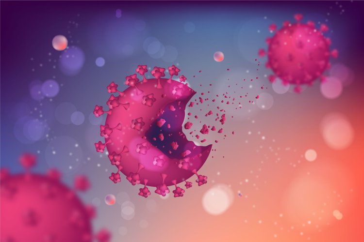 Изображение: Фотобанк Freepik