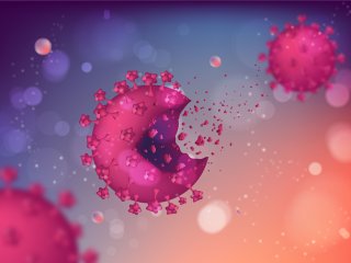 Изображение: Фотобанк Freepik