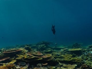 Отбор проб морской воды на Большом Барьерном рифе. Фото: © AIMS | Neal Cantin