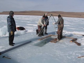 Ученые реконструировали климат Южной Сибири за полтора тысячелетия