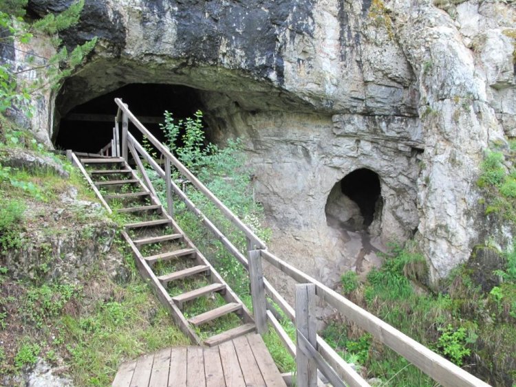 В Денисовой пещере обнаружены кости лошади Оводова