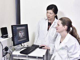 Часть гиппокампа отвечает за эмоциональную регуляцию