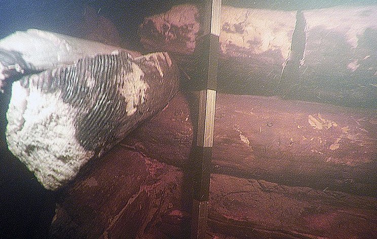 Ряж (городня). Подводная фотографии экспедиции 2018 года. Фото © Институт археологии РАН