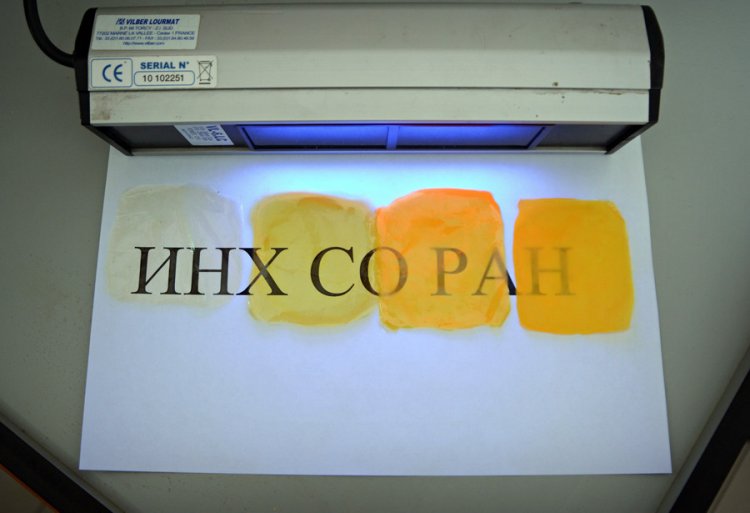 Фото: Алёна Литвиненко