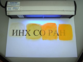 Фото: Алёна Литвиненко