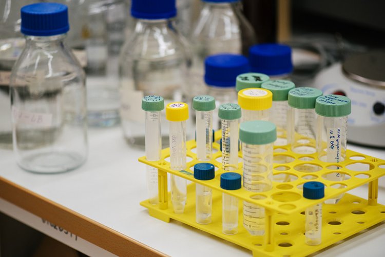 Фото предоставлено Александрой Федосеевой