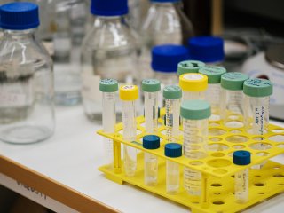Исследователи ИХБФМ СО РАН улучшили системы доставки препаратов от опухолей и вирусов
