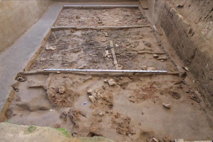 Стоянка Хотылёво-2. Общий вид на раскоп/Археологическая экспедиция ИА РАН