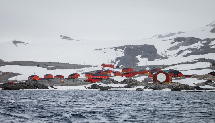 В Антарктиде зафиксирована рекордно высокая температура