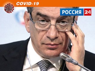«Россия 24» — РАН: ученые о коронавирусе. Академик Марк Курцер