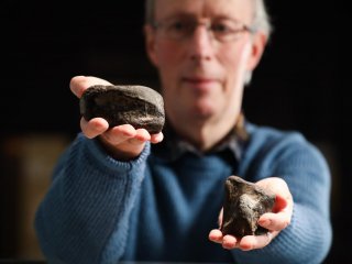 На острове Ирландия впервые обнаружены окаменелости динозавров