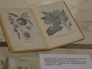 Ботаническая иллюстрация: наука памяти…