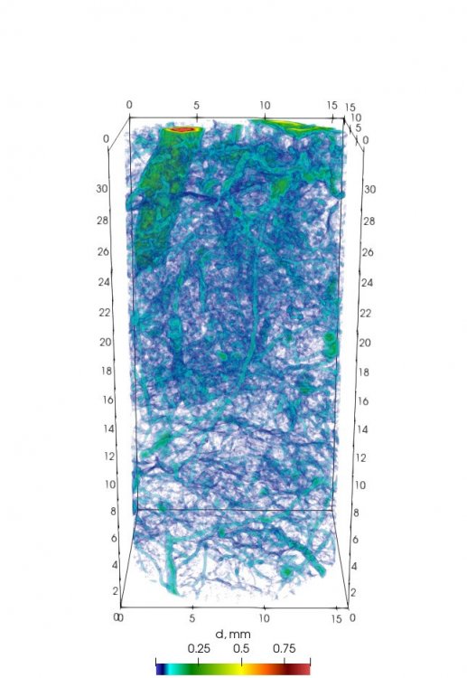 Трехмерное томографическое изображение структуры порового пространства образца агросерой почвы. Источник: Тимофей Калнин